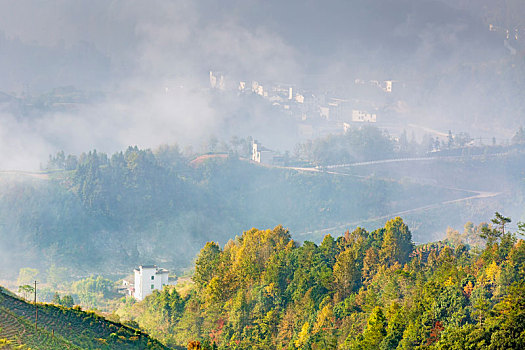 雾锁山村