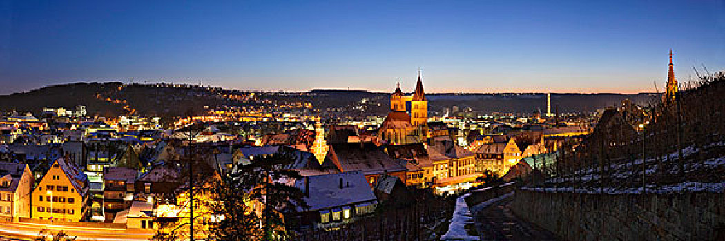 风景,城堡,历史,地区,埃斯林根,内卡河,巴登符腾堡,德国,欧洲