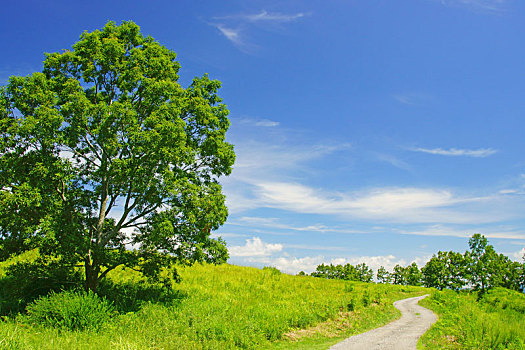 道路,地点