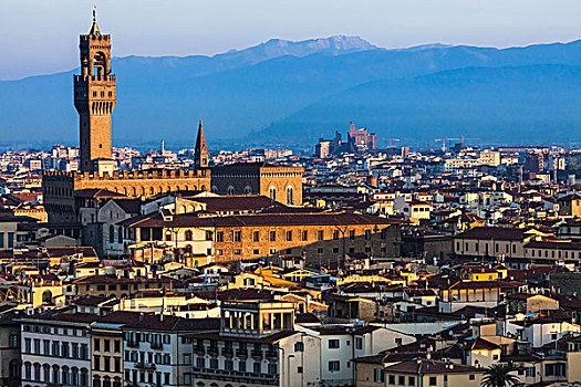 钟楼,乌菲茲美术馆,城市,佛罗伦萨,托斯卡纳,意大利