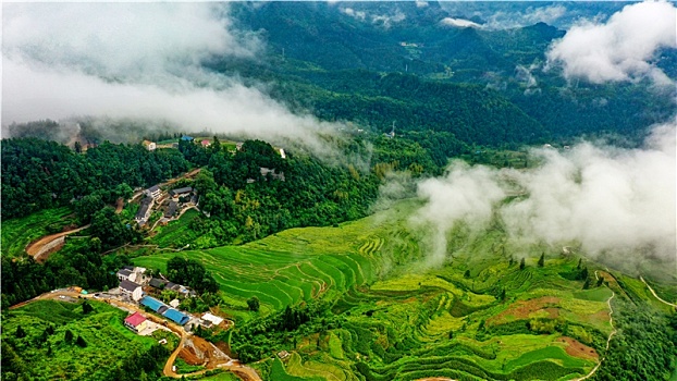 重庆酉阳,云端梯田清晨雾景美