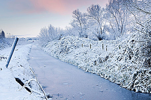冬天,场景,重,雪,早晨,英格兰,英国,欧洲
