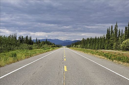 阿拉斯加公路,靠近,育空地区,加拿大