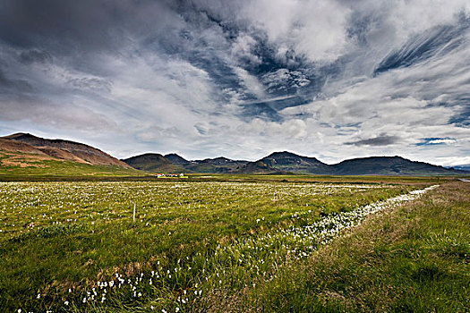 地点,农场,斯奈山半岛,冰岛
