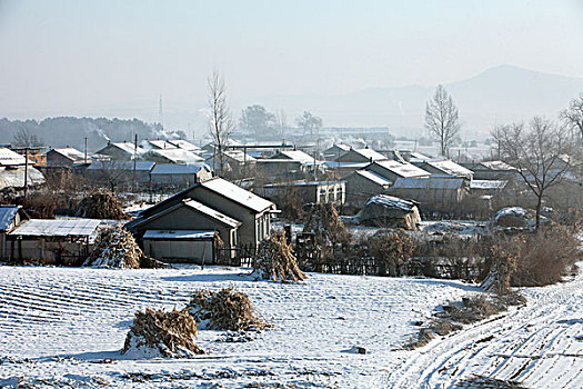 雪野,北方,東北,大雪,原野,土地,冬季,潔白,干凈,風景,村莊,農村