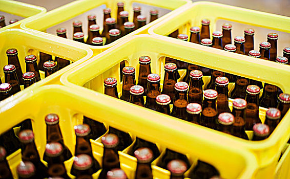 黄色,塑料制品,板条箱,啤酒瓶,酒厂