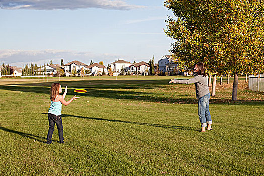 母亲,投掷,飞盘,女儿,公园,艾伯塔省,加拿大
