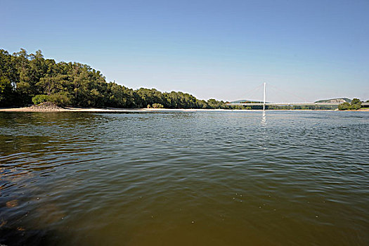 多瑙河,桥,湿地,国家公园,下奥地利州,奥地利,欧洲