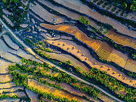 山东沂蒙山梯田