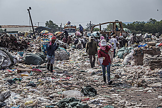 垃圾,收集,垃圾场,近郊,金边,柬埔寨,亚洲