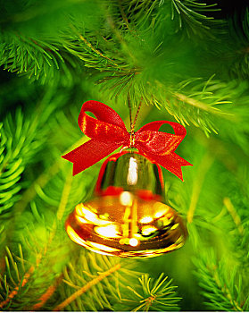 圣诞饰品,悬挂,树