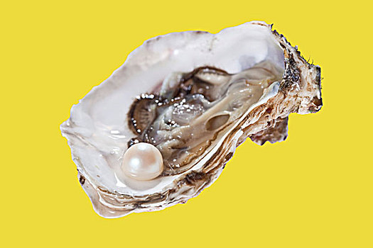 牡蛎,珍珠
