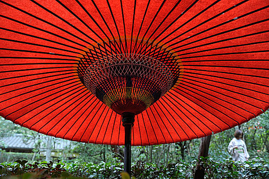 日本,京都,平安神宫,红色,伞