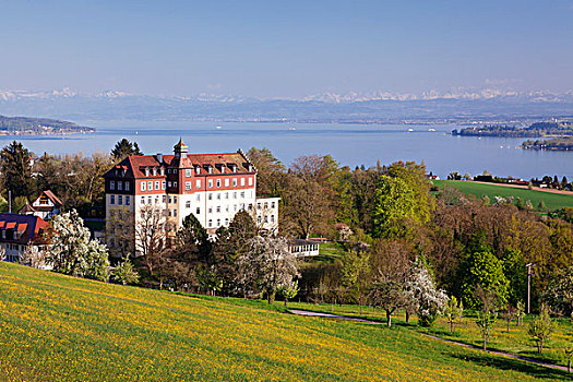 风景,城堡,上方,康士坦茨湖,阿尔卑斯山,巴登符腾堡,德国,欧洲
