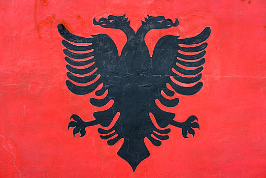 鹰,阿尔巴尼亚,旗帜,涂绘,墙壁,欧洲