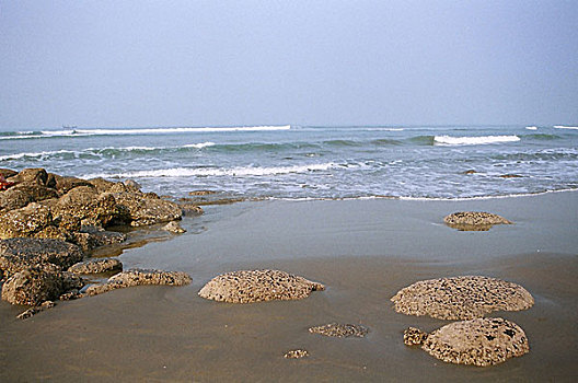 风景,海滩,集市,孟加拉,一月,2008年