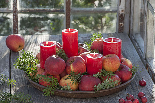 迅速,降临节花环,红色,蜡烛,苹果,冷杉