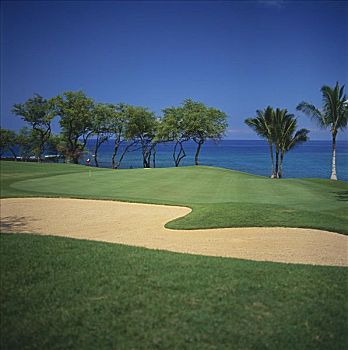 夏威夷,毛伊岛,麦肯那高尔夫俱乐部,沙障,靠近,海洋