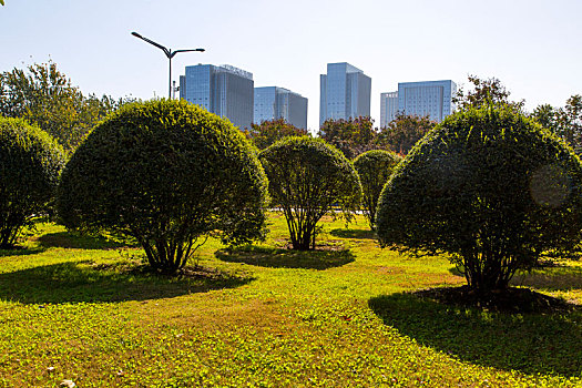 现代都市