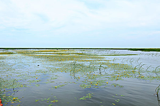 中国最秀美的雁窝岛湿地