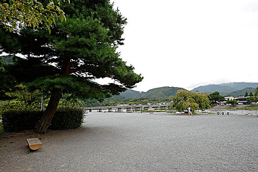 日本,京都,岚山