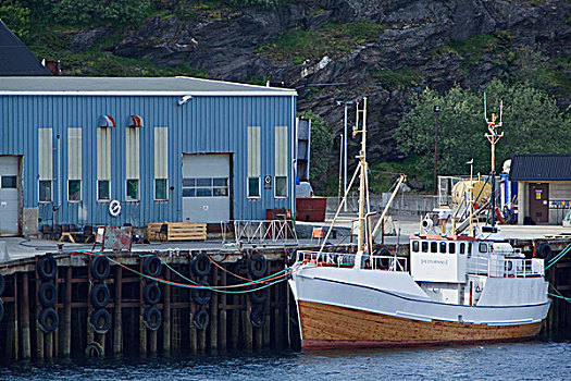 渔船,港口,博多,挪威,斯堪的纳维亚,欧洲