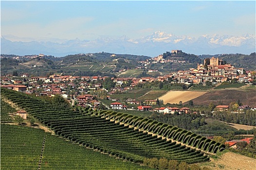 风景,山,绿色,葡萄园,小镇,背景,意大利北部