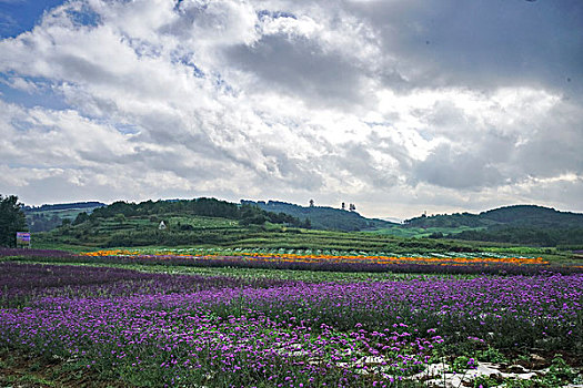 户外风景