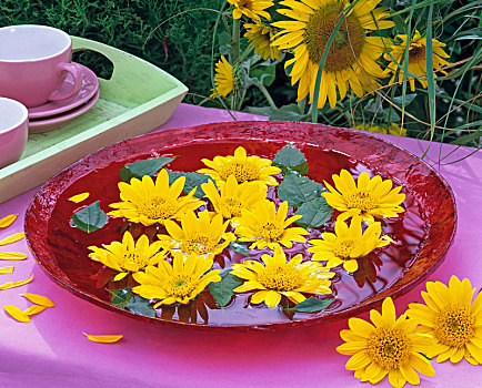 向日葵属,花,玻璃碗