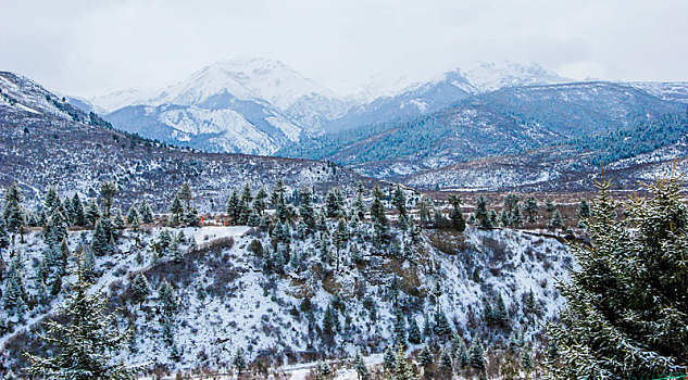 九寨沟,松潘雪景