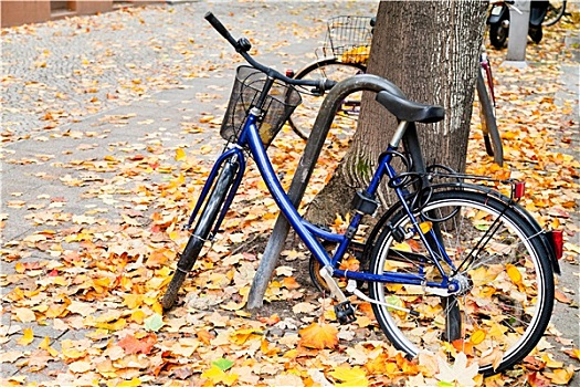 自行车,停放,街上,秋叶,柏林