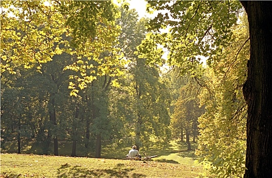 秋季,公园