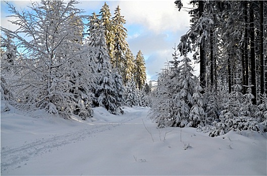 雪,卑尔根,冬天