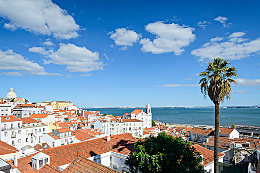 俯视,阿尔法马区,地区,里斯本,葡萄牙