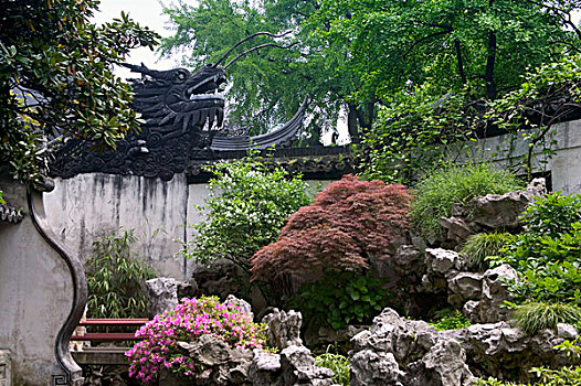 传统,中式花园,开花,石头,植物,树,水塘,豫园,上海,中国
