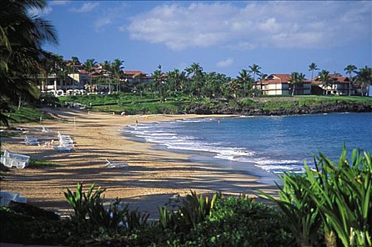 夏威夷,毛伊岛,海滩,早晨,亮光,影子,海岸线
