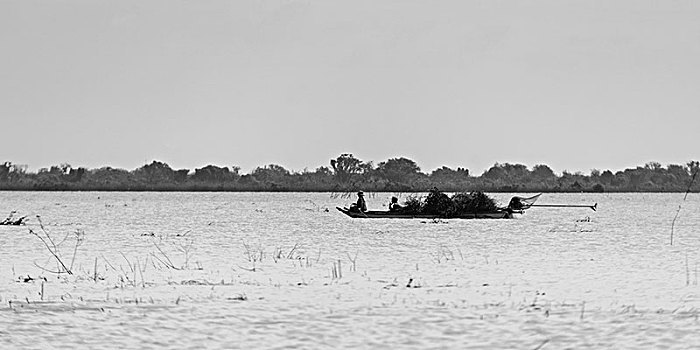 人,划艇,树液,湖,收获,柬埔寨