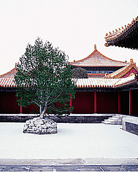 院落,故宫,北京,中国