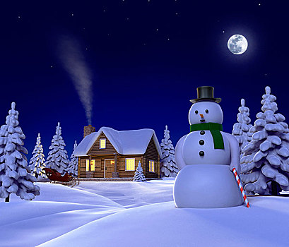 圣诞节,雪,展示,雪人,雪撬,夜晚