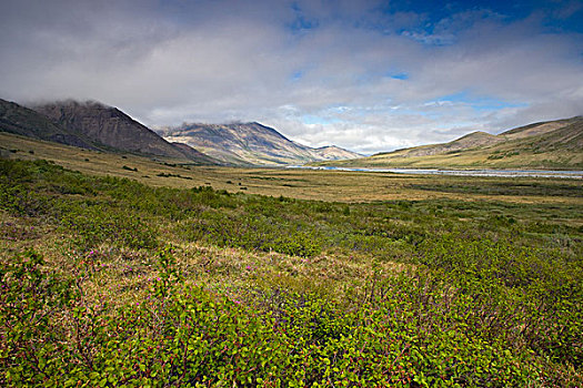 山谷,河,北极国家野生动物保护区,阿拉斯加