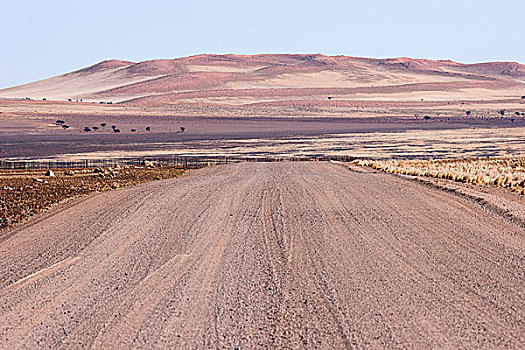 道路,纳米布沙漠,纳米比沙漠,公园,纳米比亚,非洲