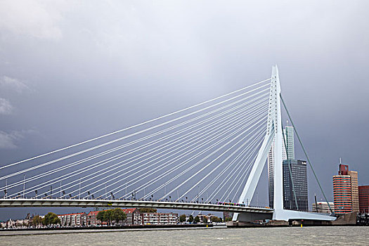 桥,河,鹿特丹,荷兰,欧洲