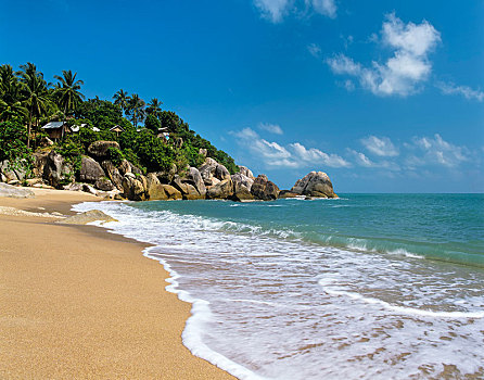 珊瑚,小湾,海滩,海湾,泰国,苏梅岛,南方,亚洲