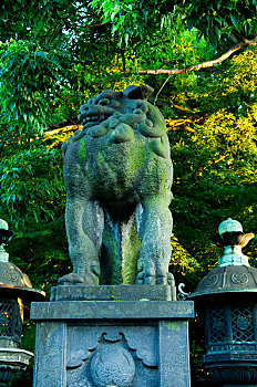 日本东京,上野东照宫,精致的石狮