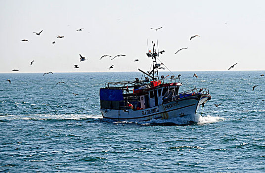 渔船,阿尔加维海岸,葡萄牙,南,欧洲