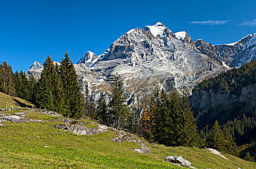远足,区域,少女峰,伯恩高地,瑞士,欧洲
