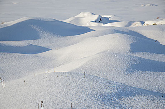 新疆雪景