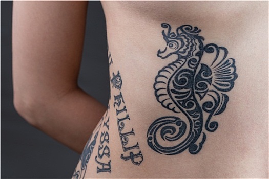 海马,肋骨,纹身