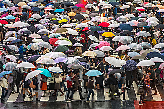 俯拍,大量,行人,伞,穿过,城市街道