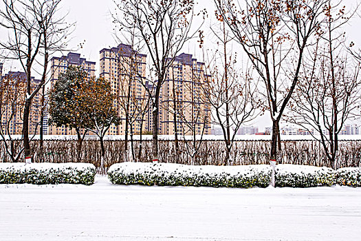 城市雪景